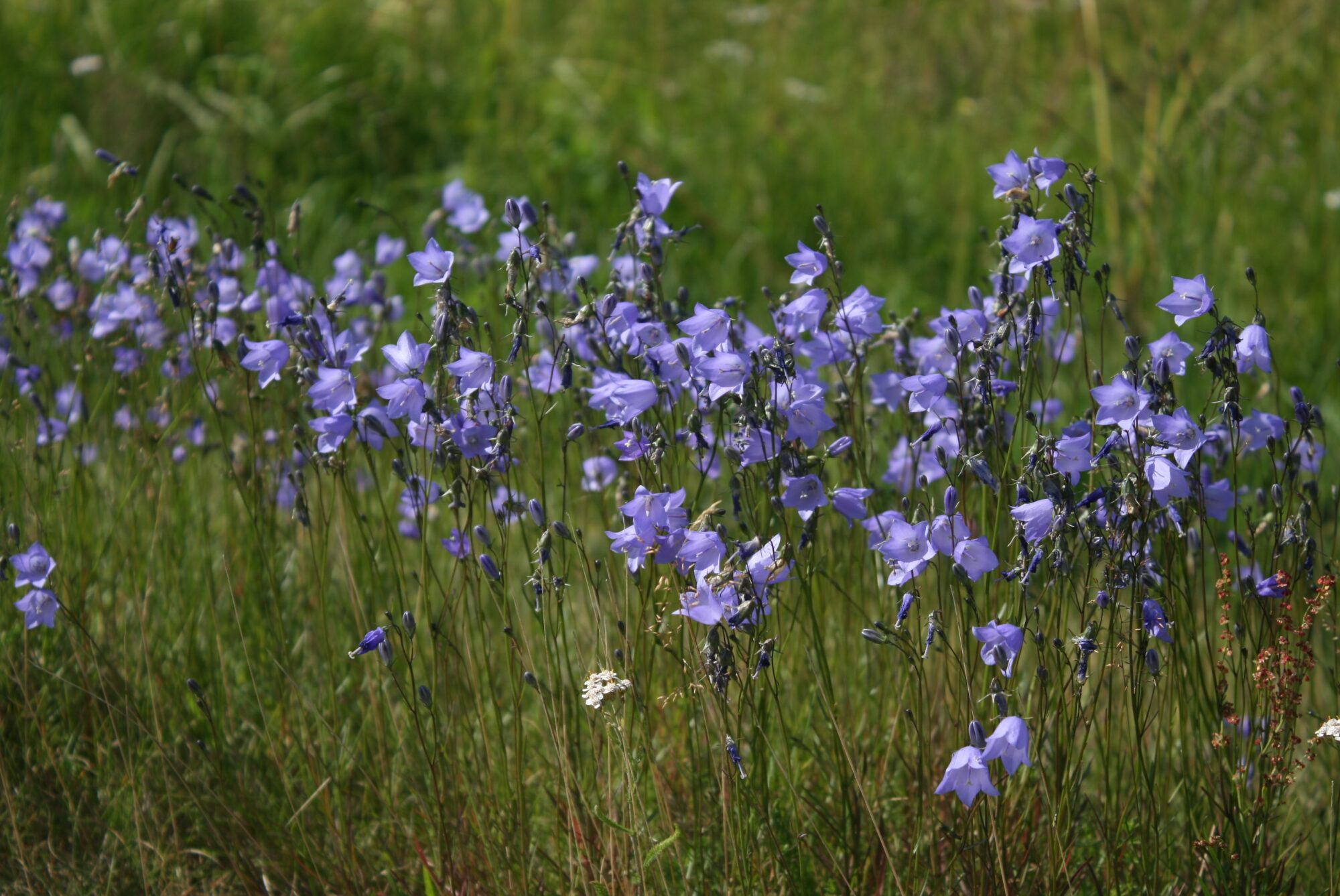 Valokuvaaja: Katri Mäkinen