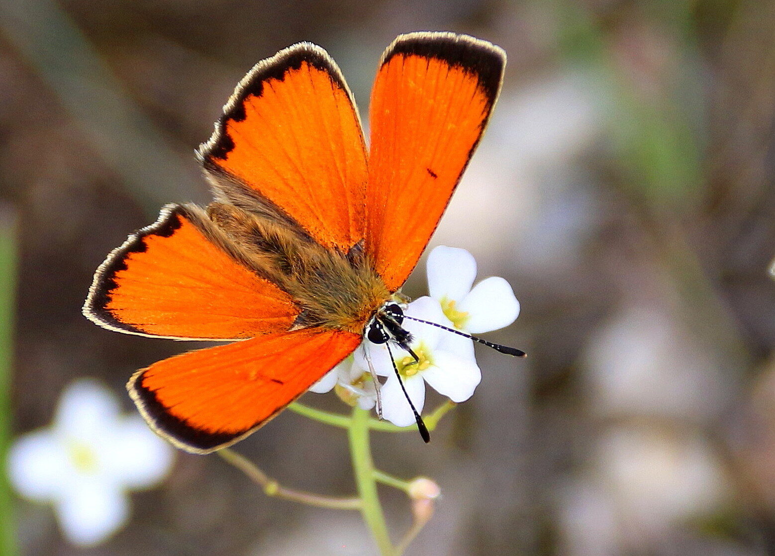Valokuvaaja: Tuukka Pahtamaa