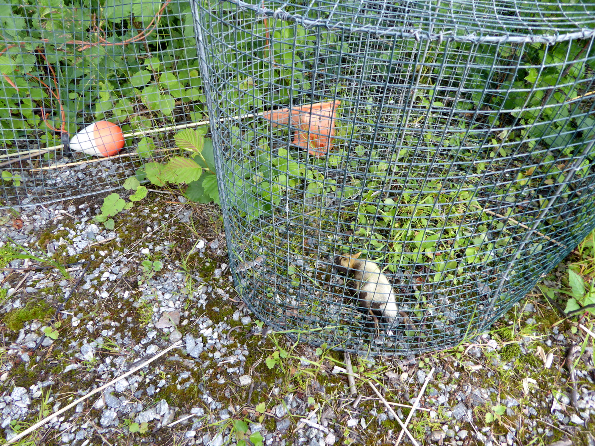 Valokuvaaja: Toni Asikainen