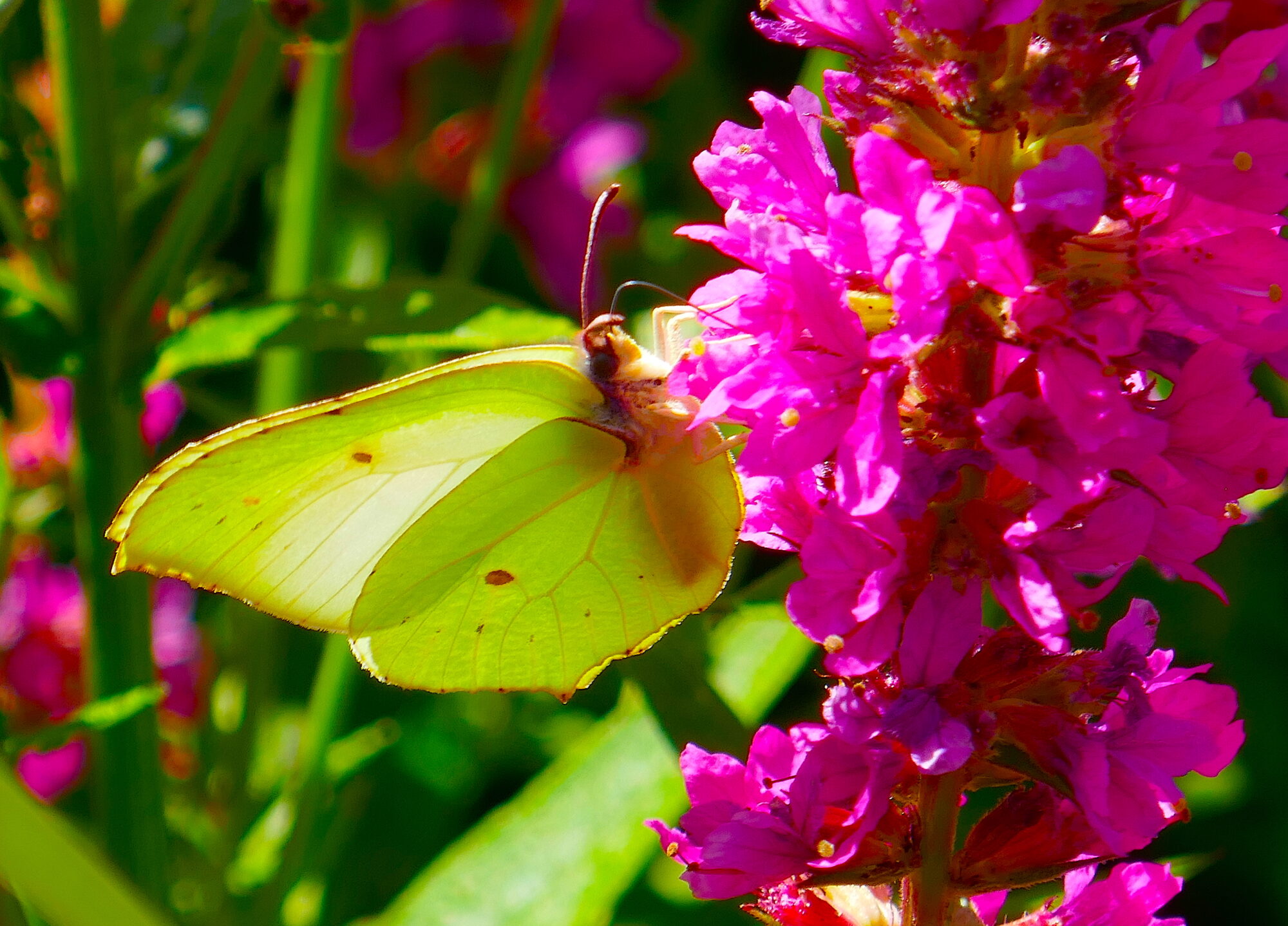 Valokuvaaja: Marjut Ikonen