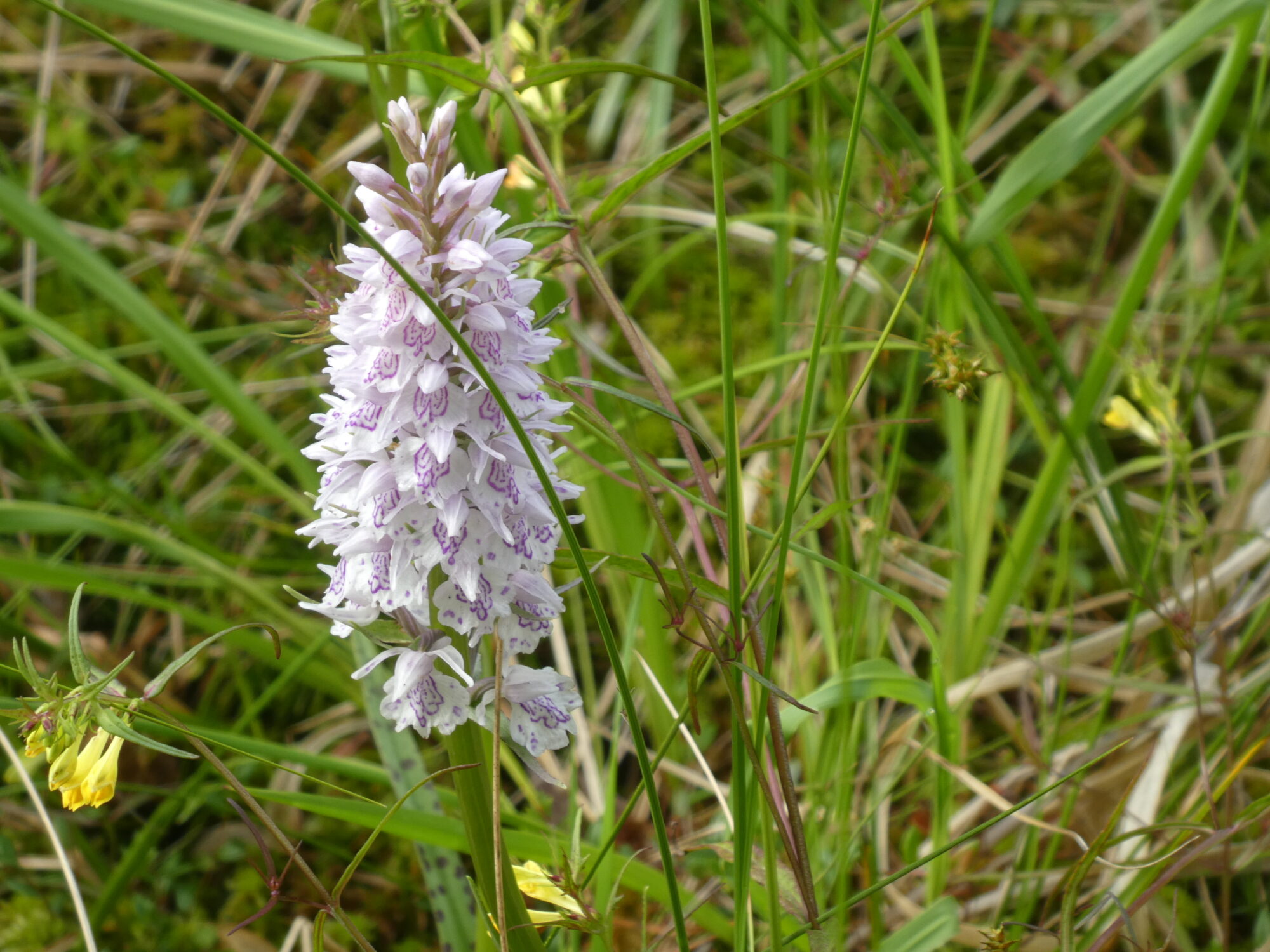Valokuvaaja: Anja Mustamaa Valokuvaaja: Anja Mustamaa
