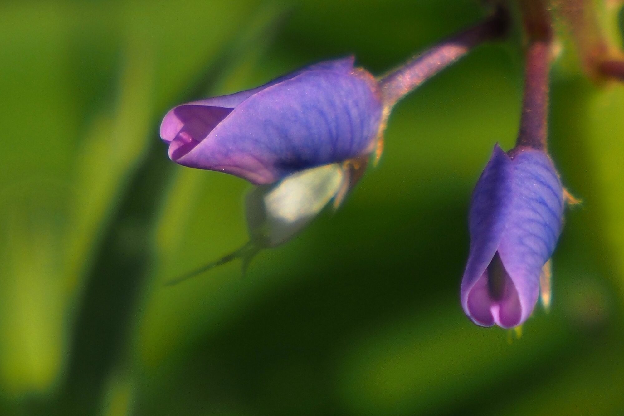 Valokuvaaja: Arja Valtonen