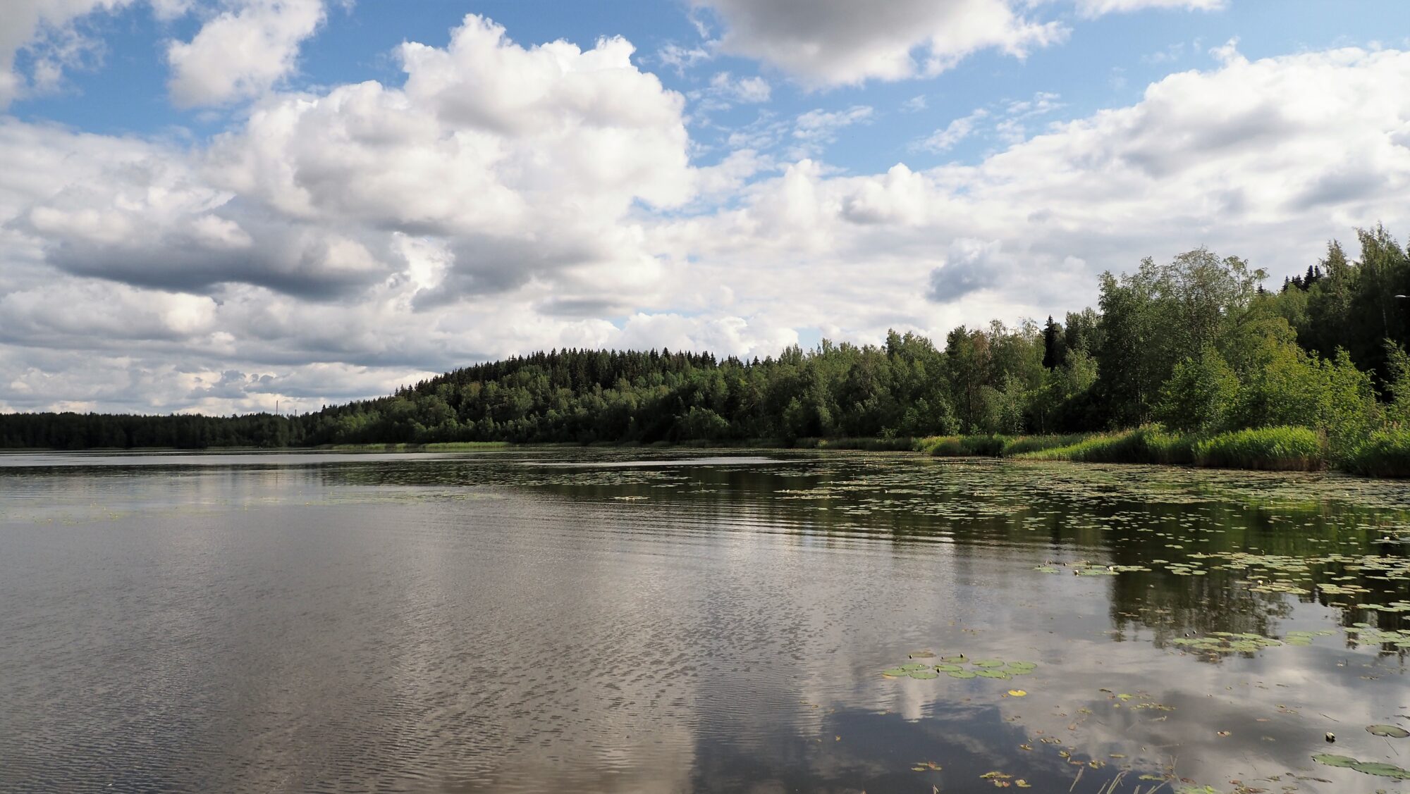 Valokuvaaja: Arja Valtonen