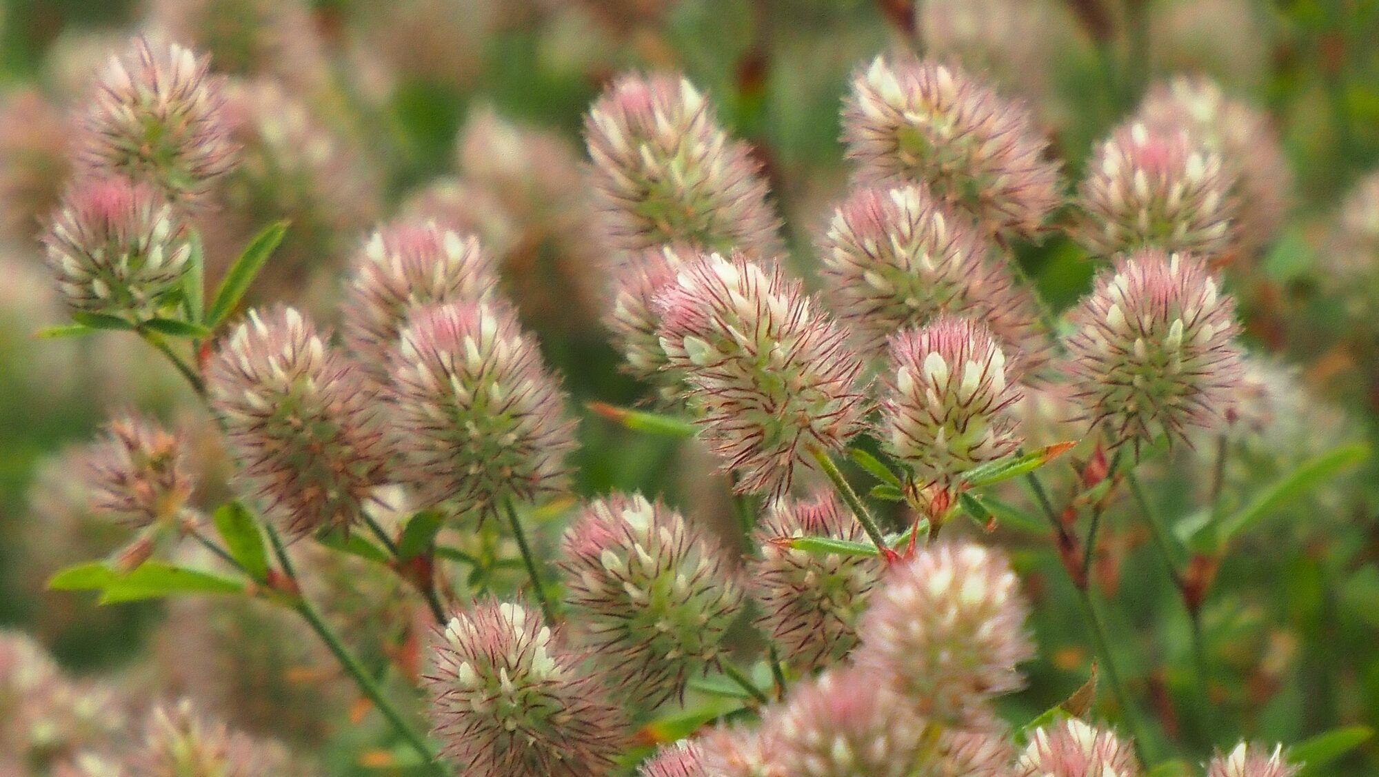 Valokuvaaja: Arja Valtonen