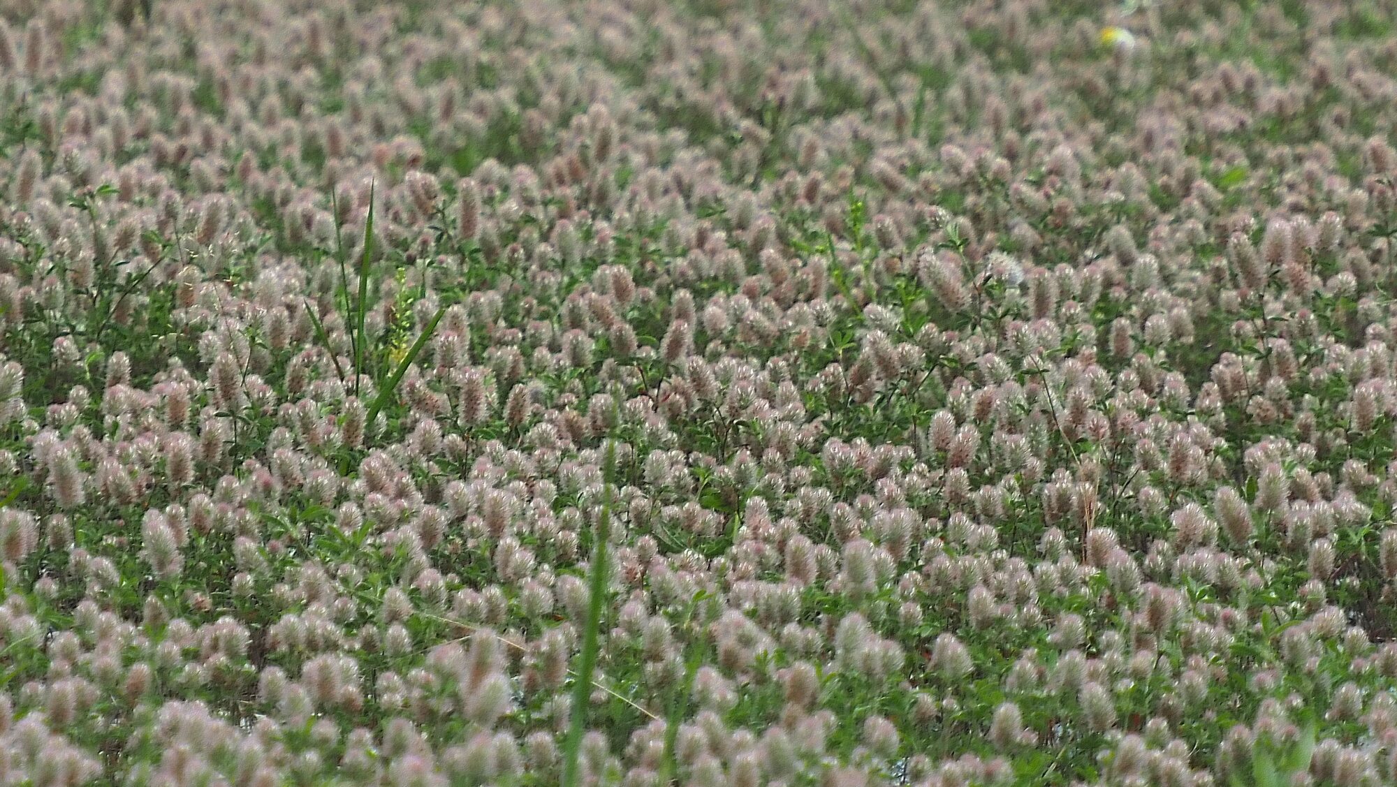 Valokuvaaja: Arja Valtonen