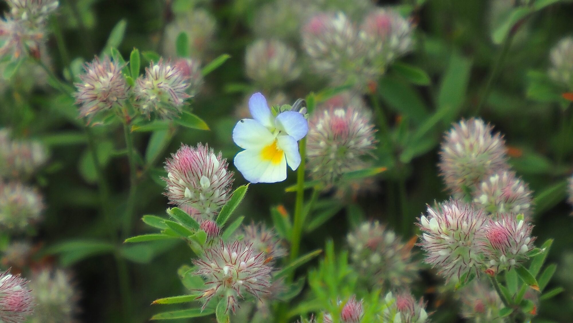 Valokuvaaja: Arja Valtonen