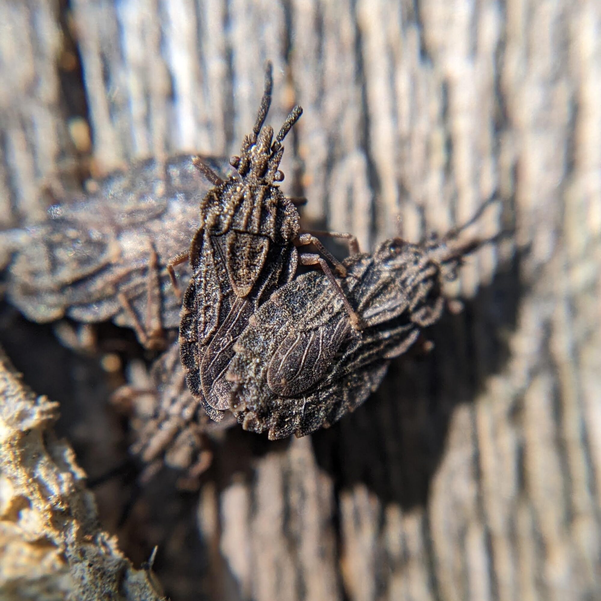Valokuvaaja: Joel Laine Valokuvaaja: Joel Laine