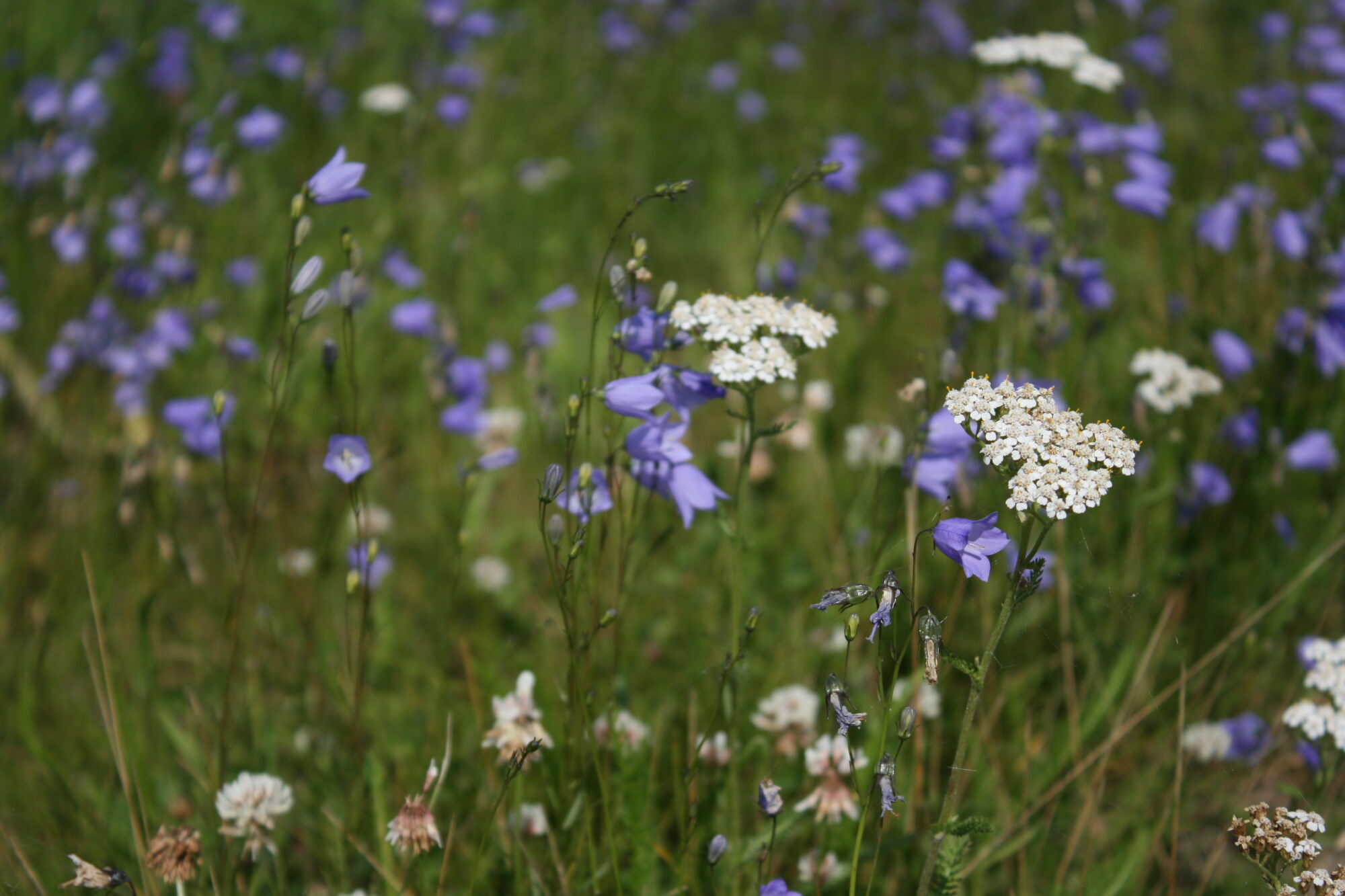 Valokuvaaja: Katri Mäkinen