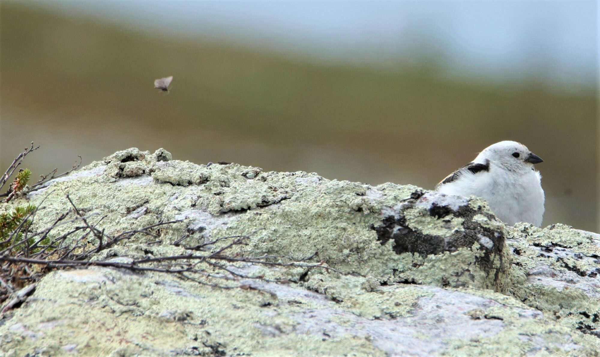 Valokuvaaja: Kaarina Heiskanen