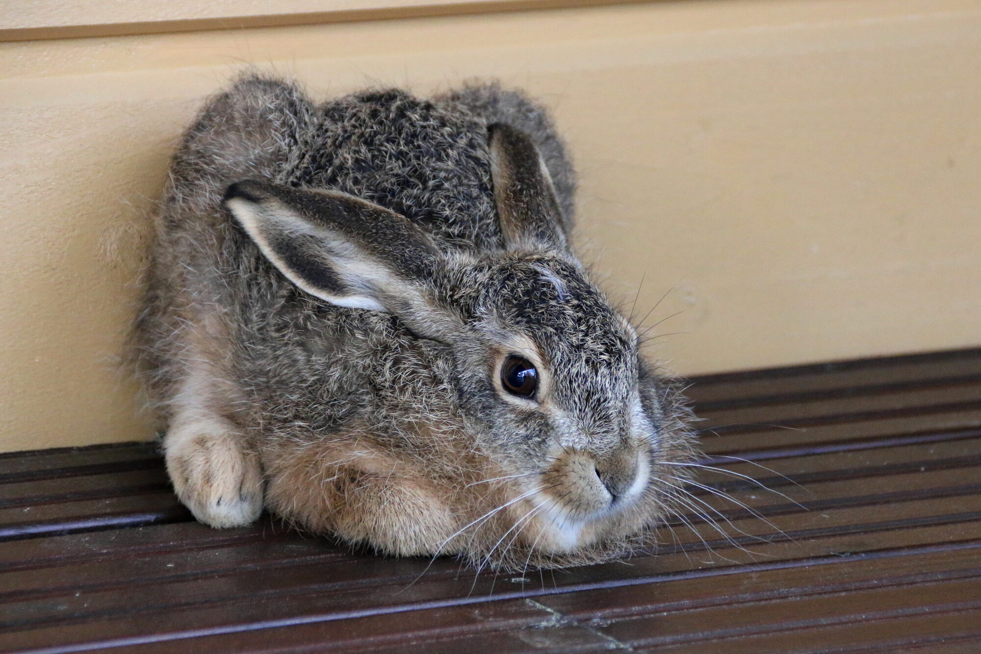 Valokuvaaja: Tuukka Pahtamaa