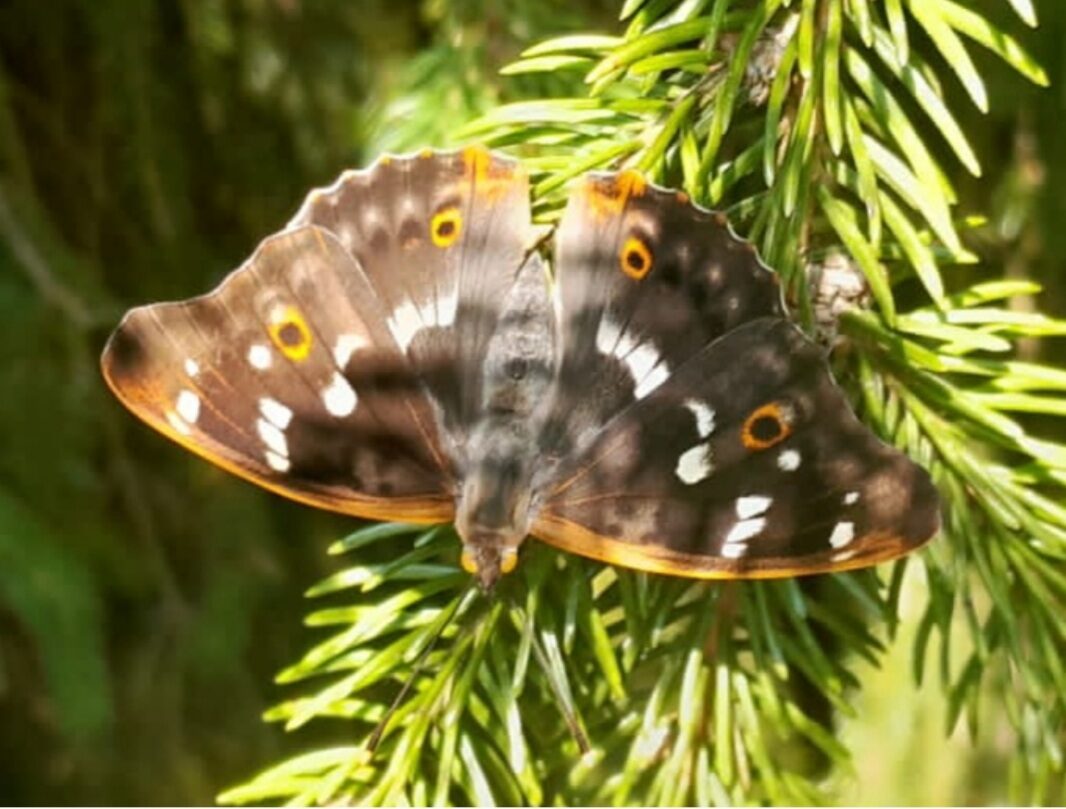 Valokuvaaja: Sari Vainio-Laitinen