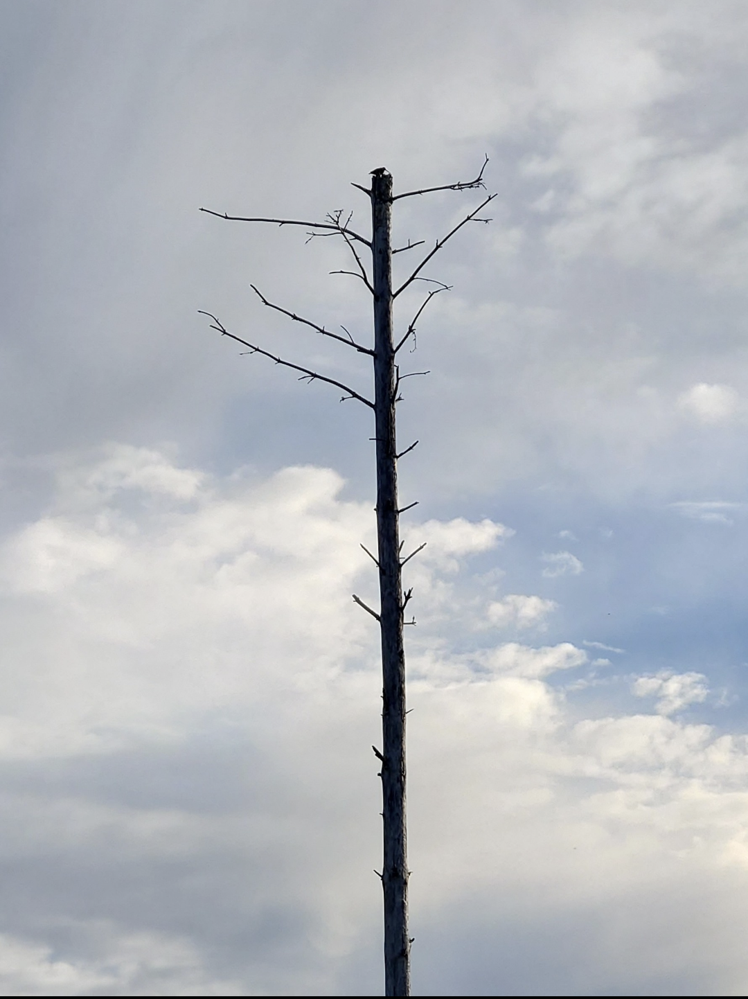 Valokuvaaja: Jouni Roppola.