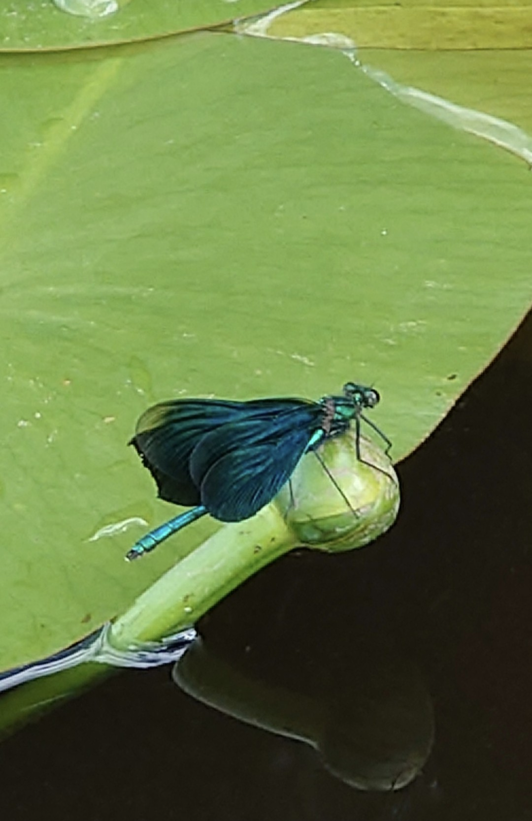 Valokuvaaja: Jouni Roppola.