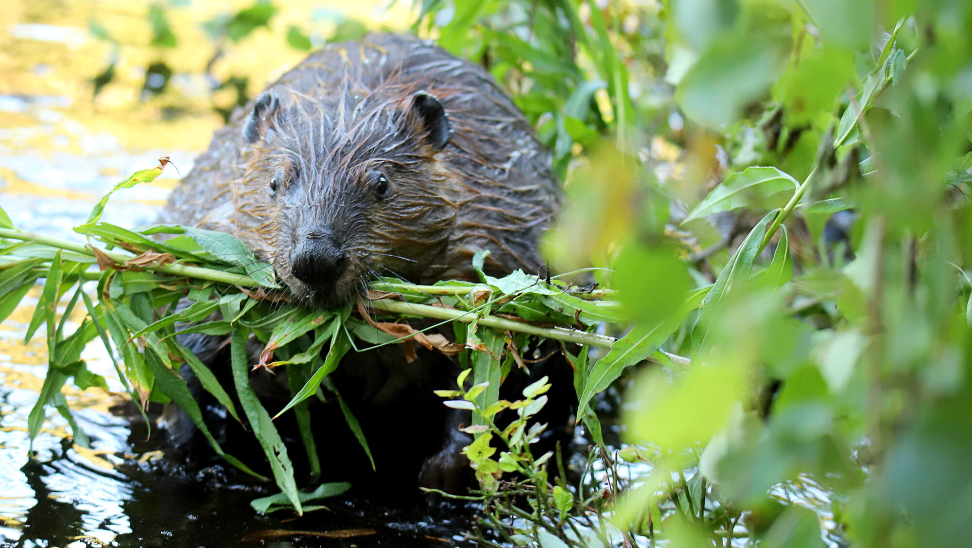 Valokuvaaja: sirpa Jyske