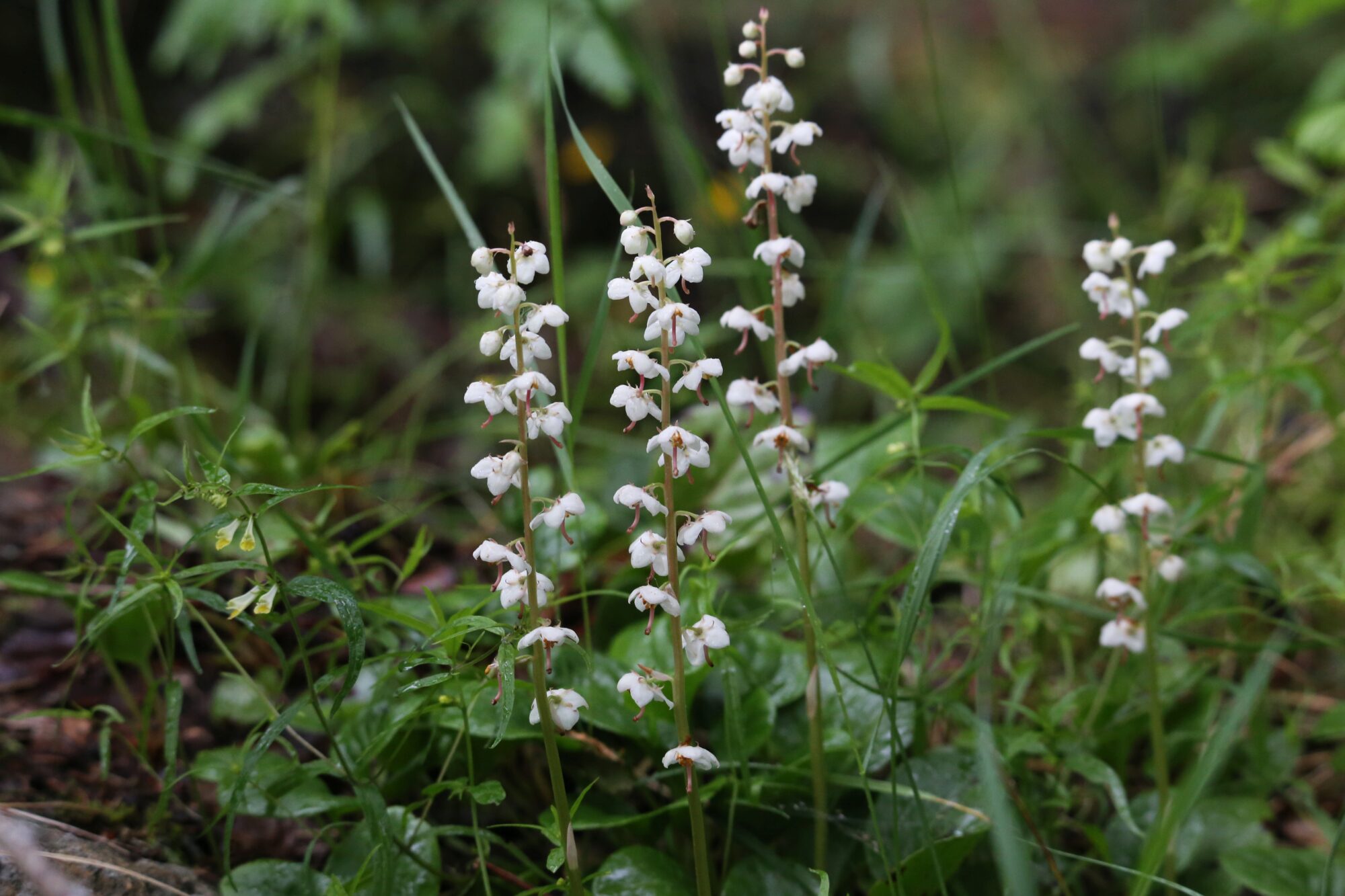 Valokuvaaja: Jaana Saarelainen