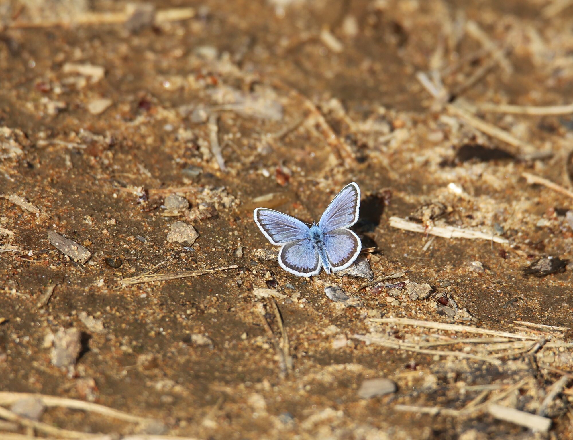 Valokuvaaja: Jaana Saarelainen