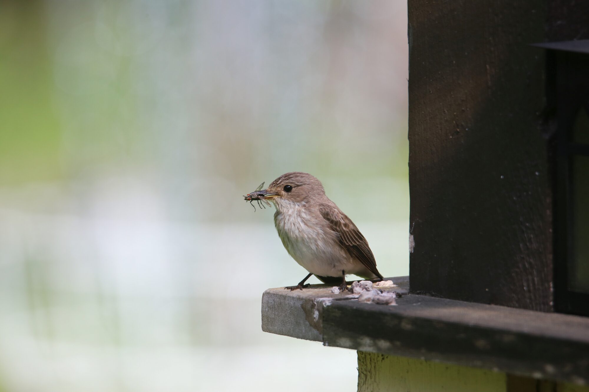Valokuvaaja: Jaana Saarelainen Valokuvaaja: Jaana Saarelainen