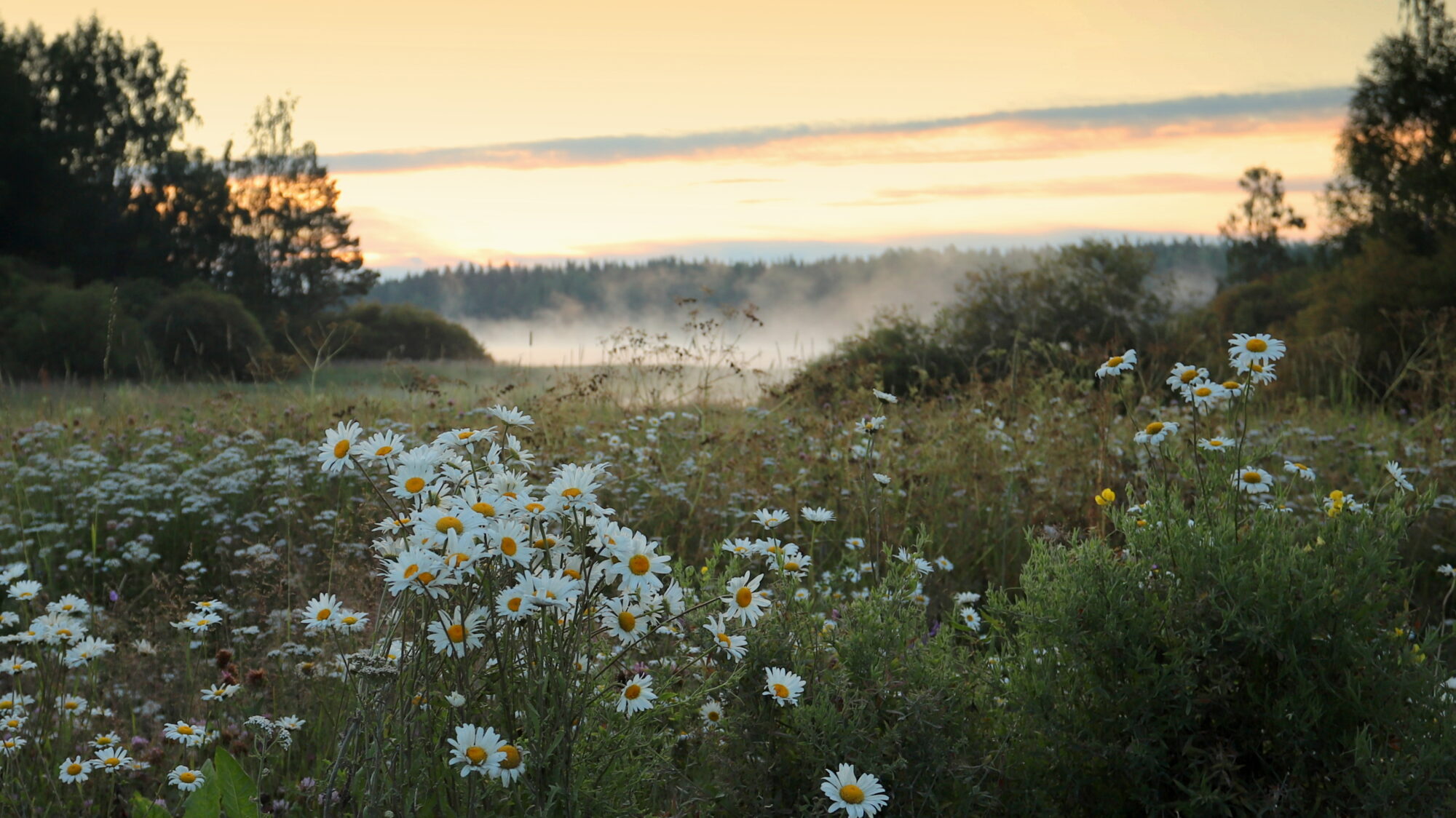 Valokuvaaja: sirpa Jyske