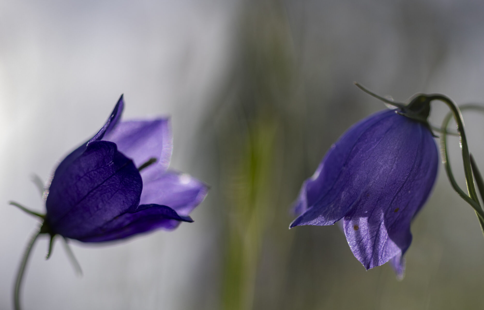 Valokuvaaja: Hannu Tikkanen