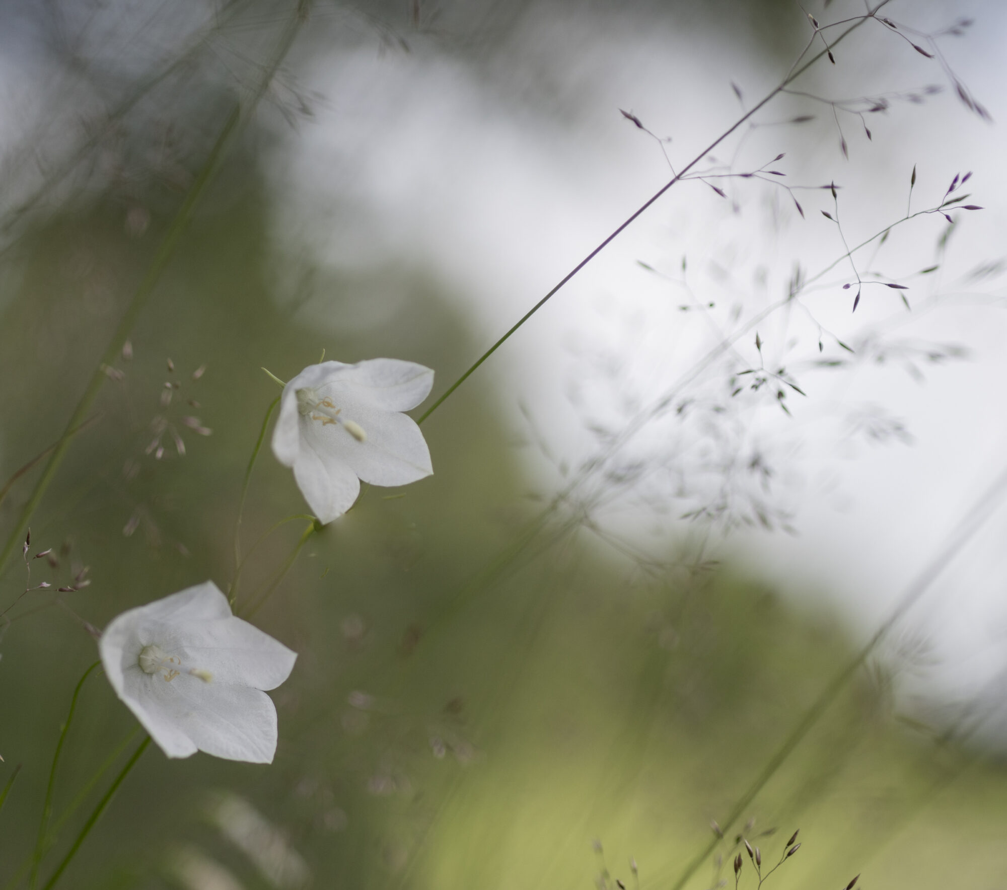 Valokuvaaja: Hannu Tikkanen