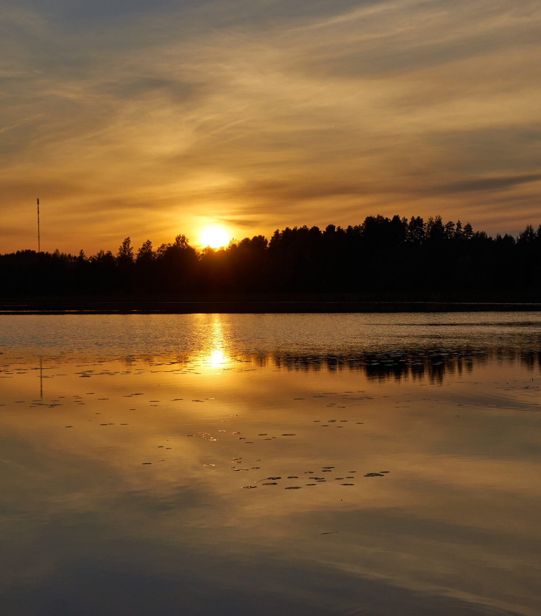 Valokuvaaja: Tarja Kouvo