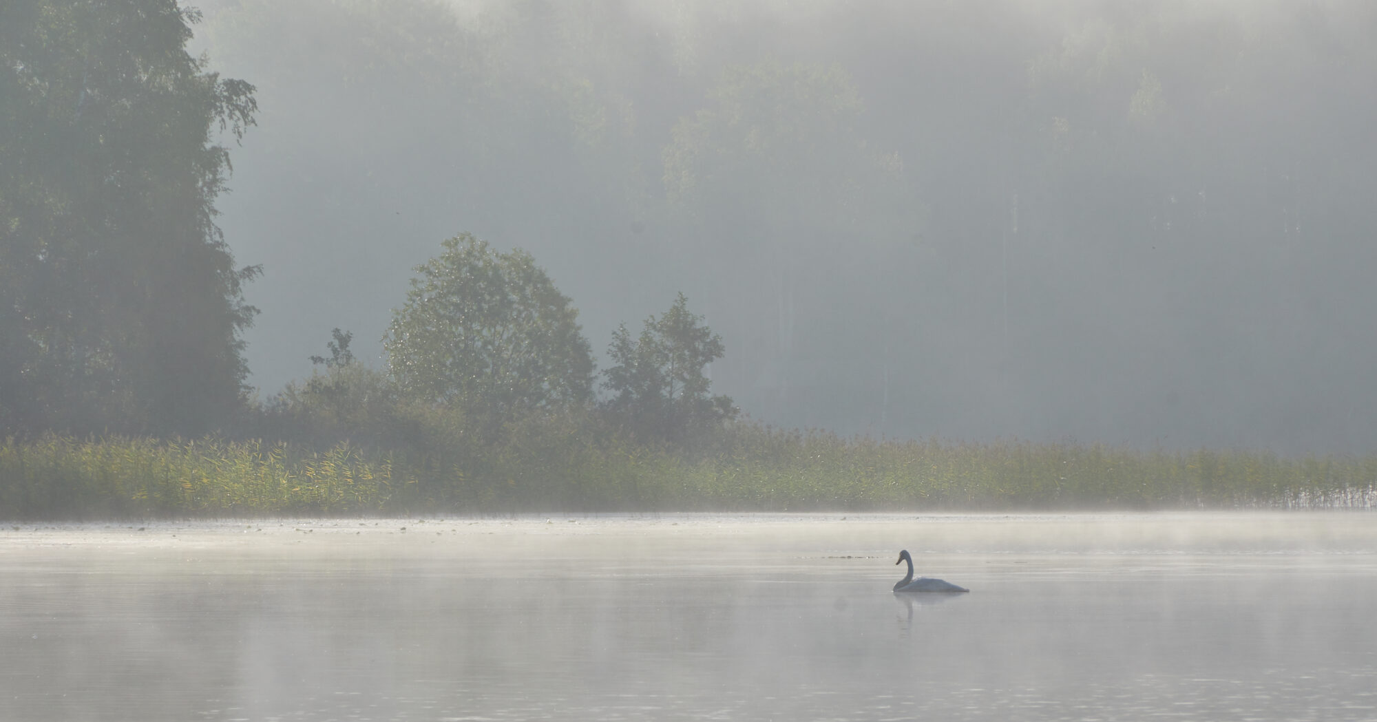 Valokuvaaja: Tarja Kouvo