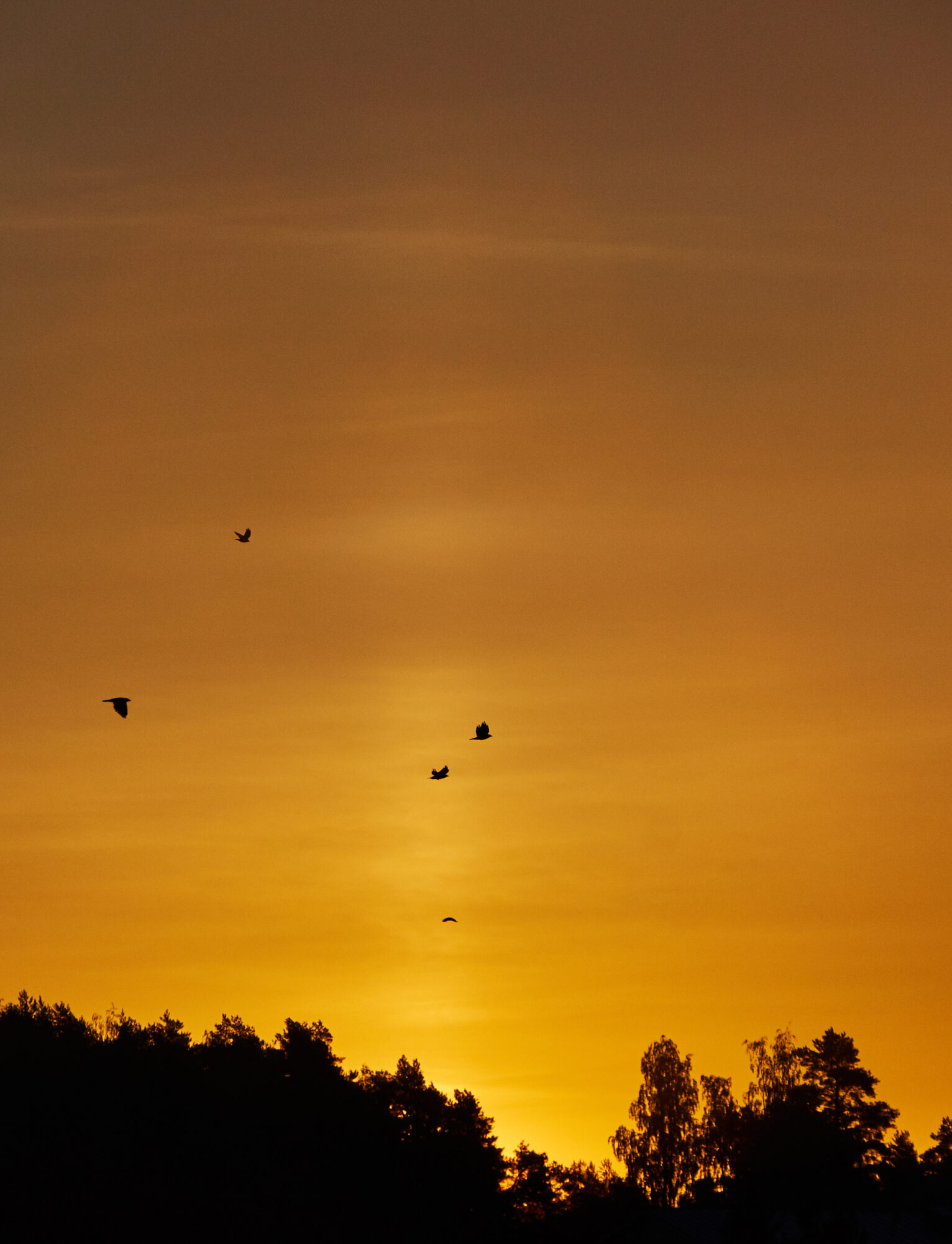 Valokuvaaja: Tarja Kouvo