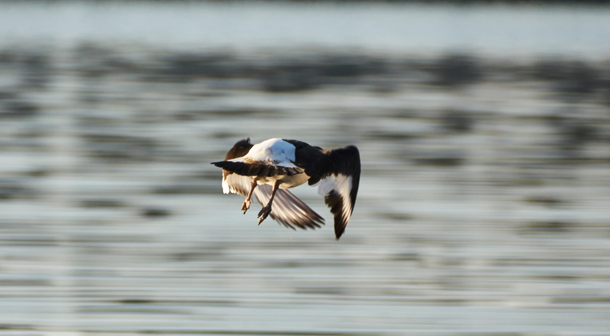 Valokuvaaja: Tarja Kouvo