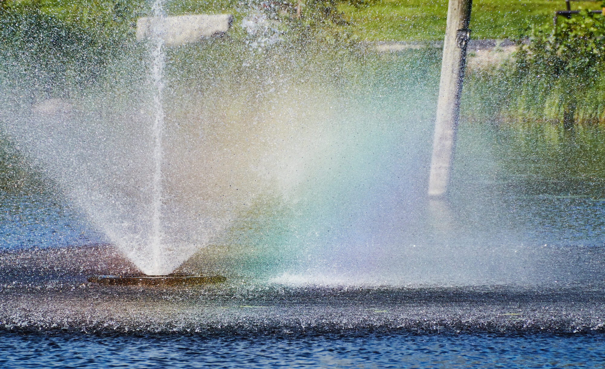 Valokuvaaja: Tarja Kouvo