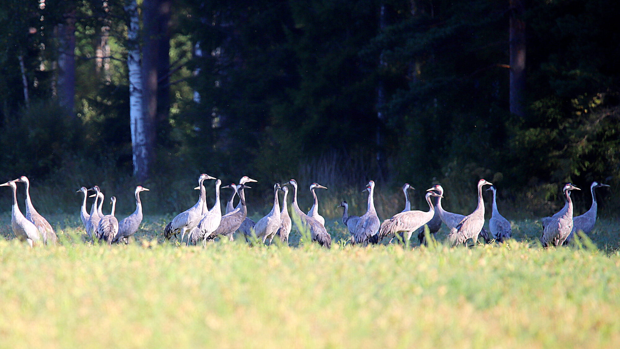 Valokuvaaja: sirpa Jyske