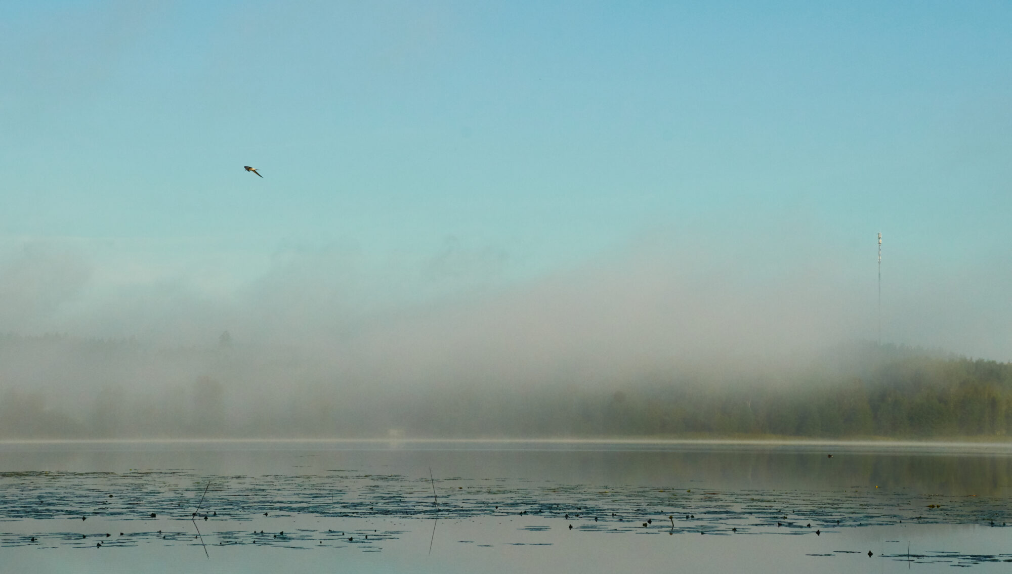 Valokuvaaja: Tarja Kouvo