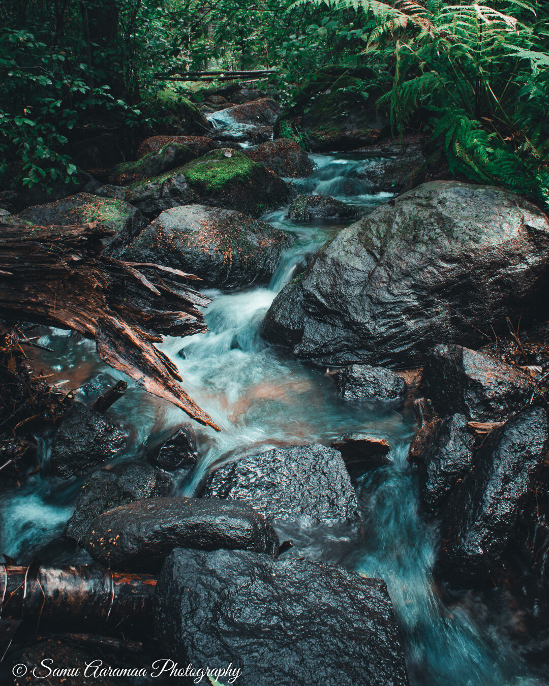 Valokuvaaja: Samu Aaramaa