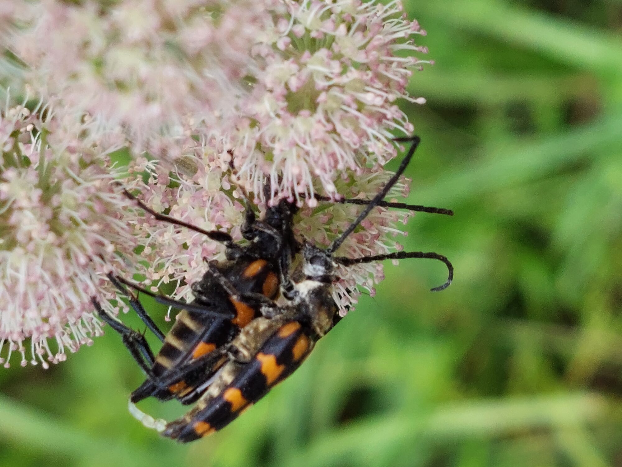 Valokuvaaja: Tuula Makkonen