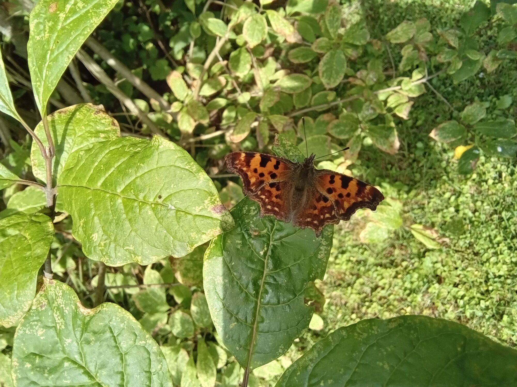Valokuvaaja: Eija Johanna Saastamoinen