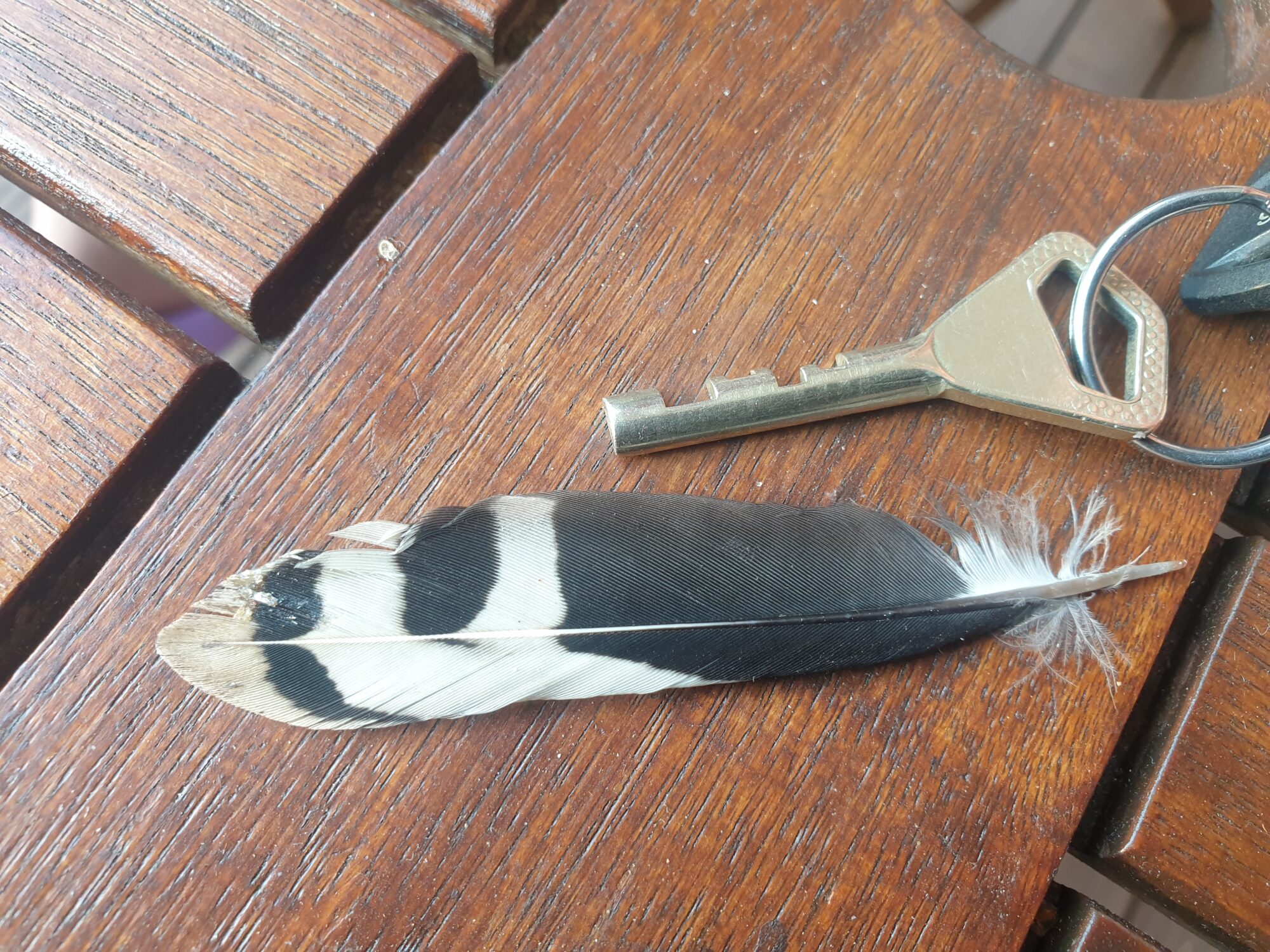 Valokuvaaja: Sonja Kohtala