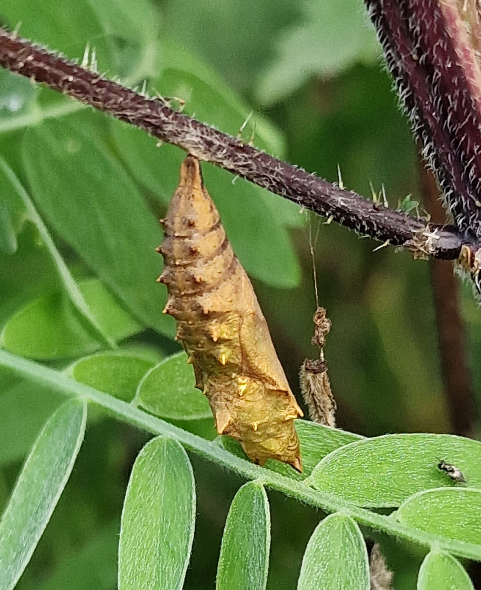 Valokuvaaja: Hanna Rönty