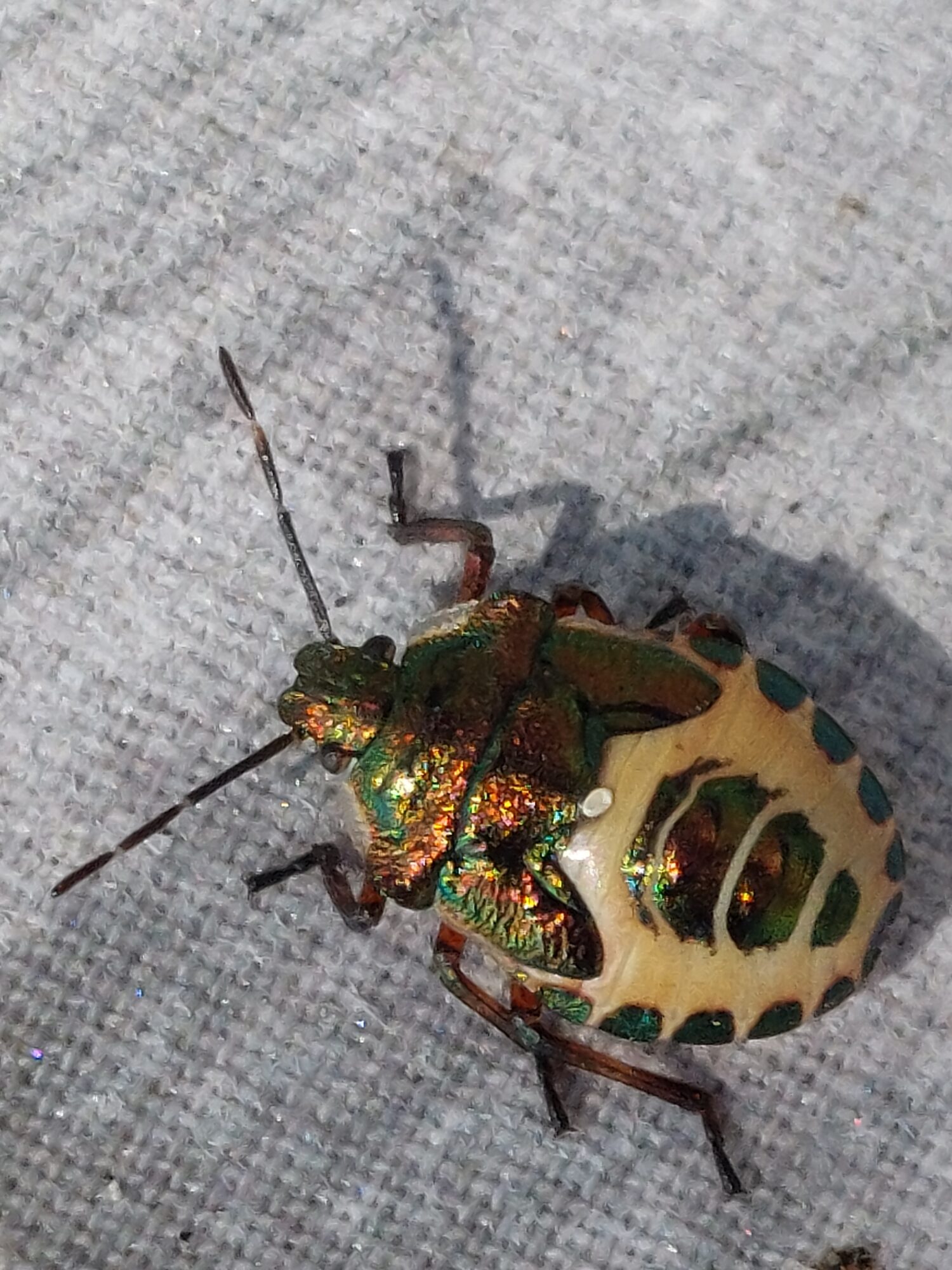 Valokuvaaja: Tuula Makkonen