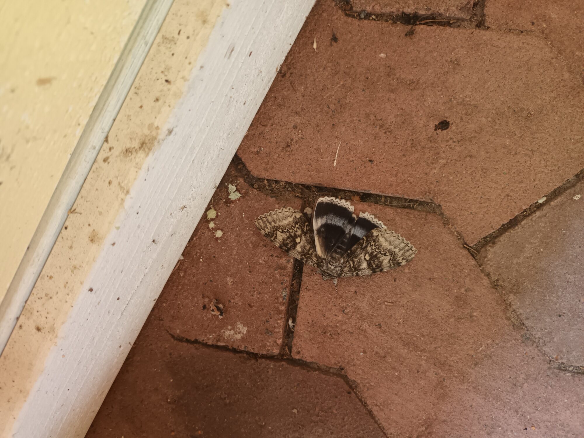 Valokuvaaja: Risto Intonen