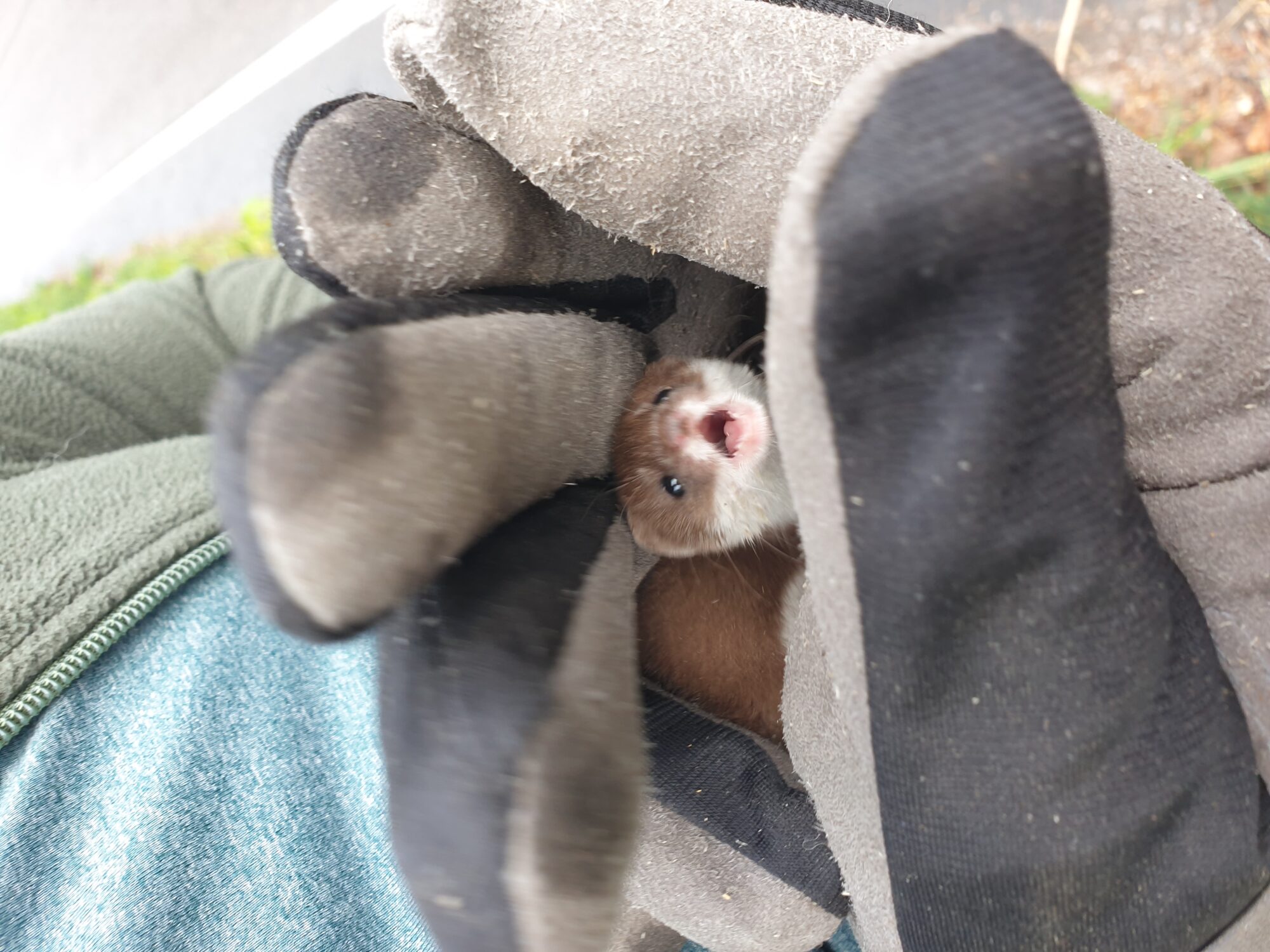 Valokuvaaja: Jaana Vilpas