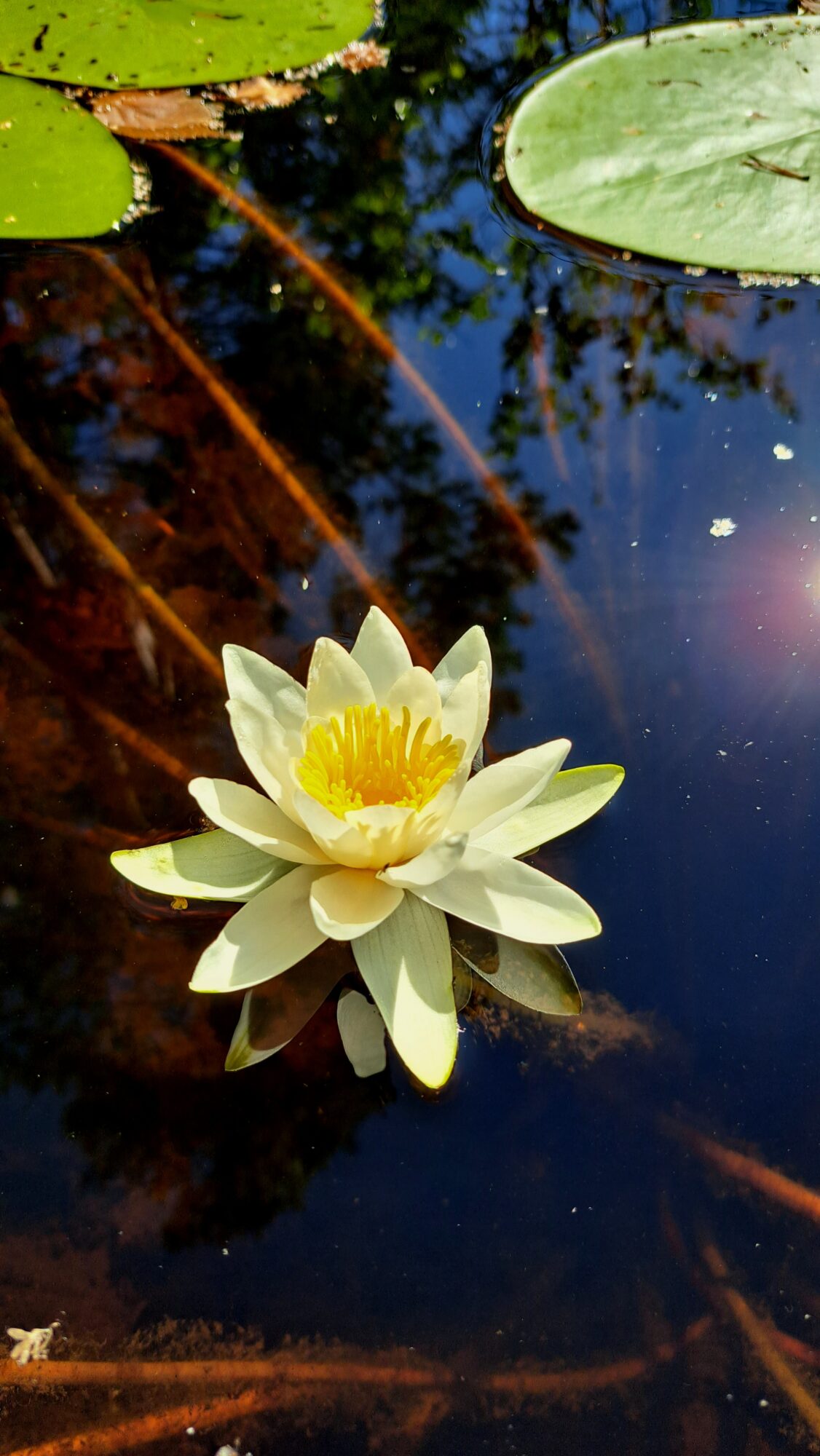 Valokuvaaja: Irja Lehtinen