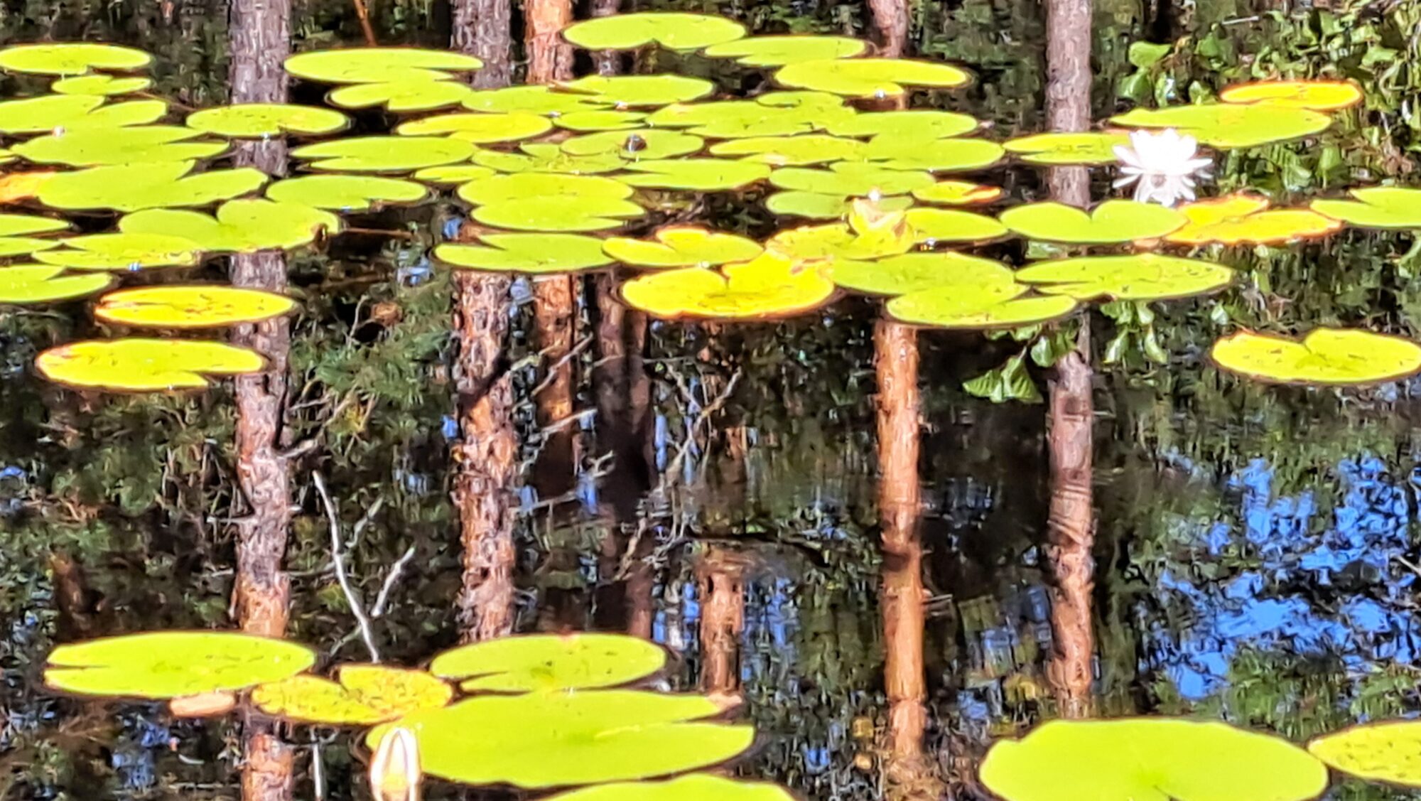 Valokuvaaja: Irja Lehtinen