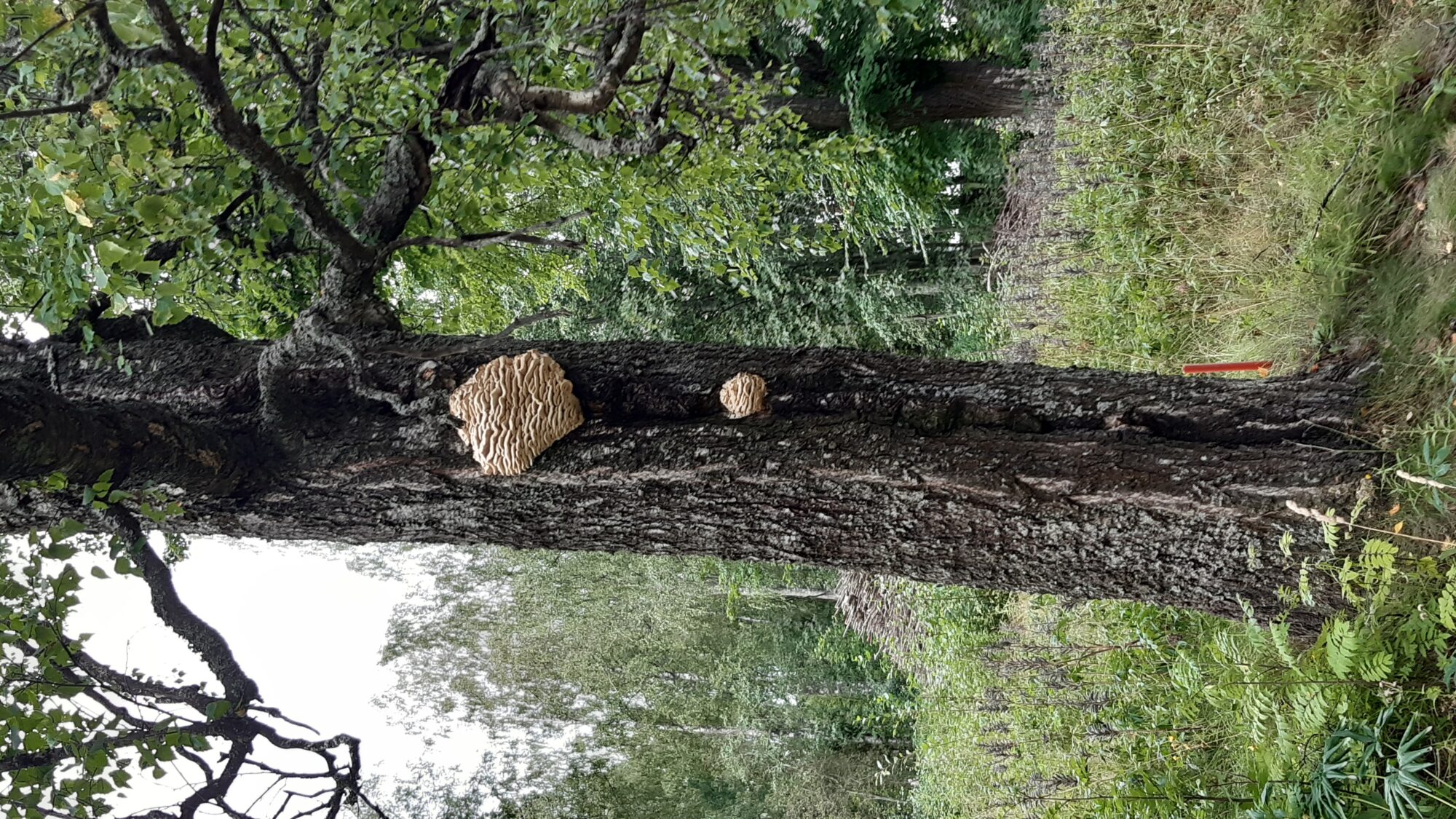 Valokuvaaja: Sinikka Reivi