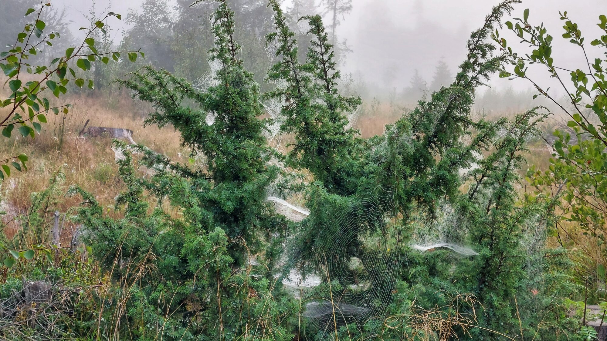 Valokuvaaja: Susanna Hannula