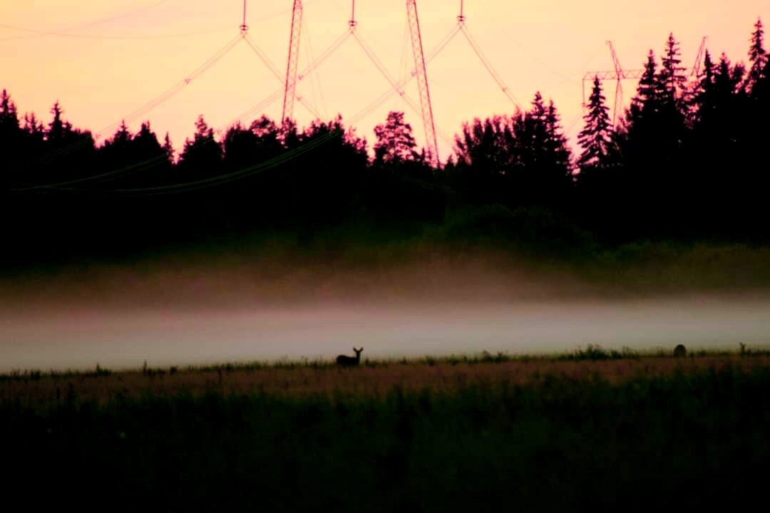 Valokuvaaja: Sonja Nokkala