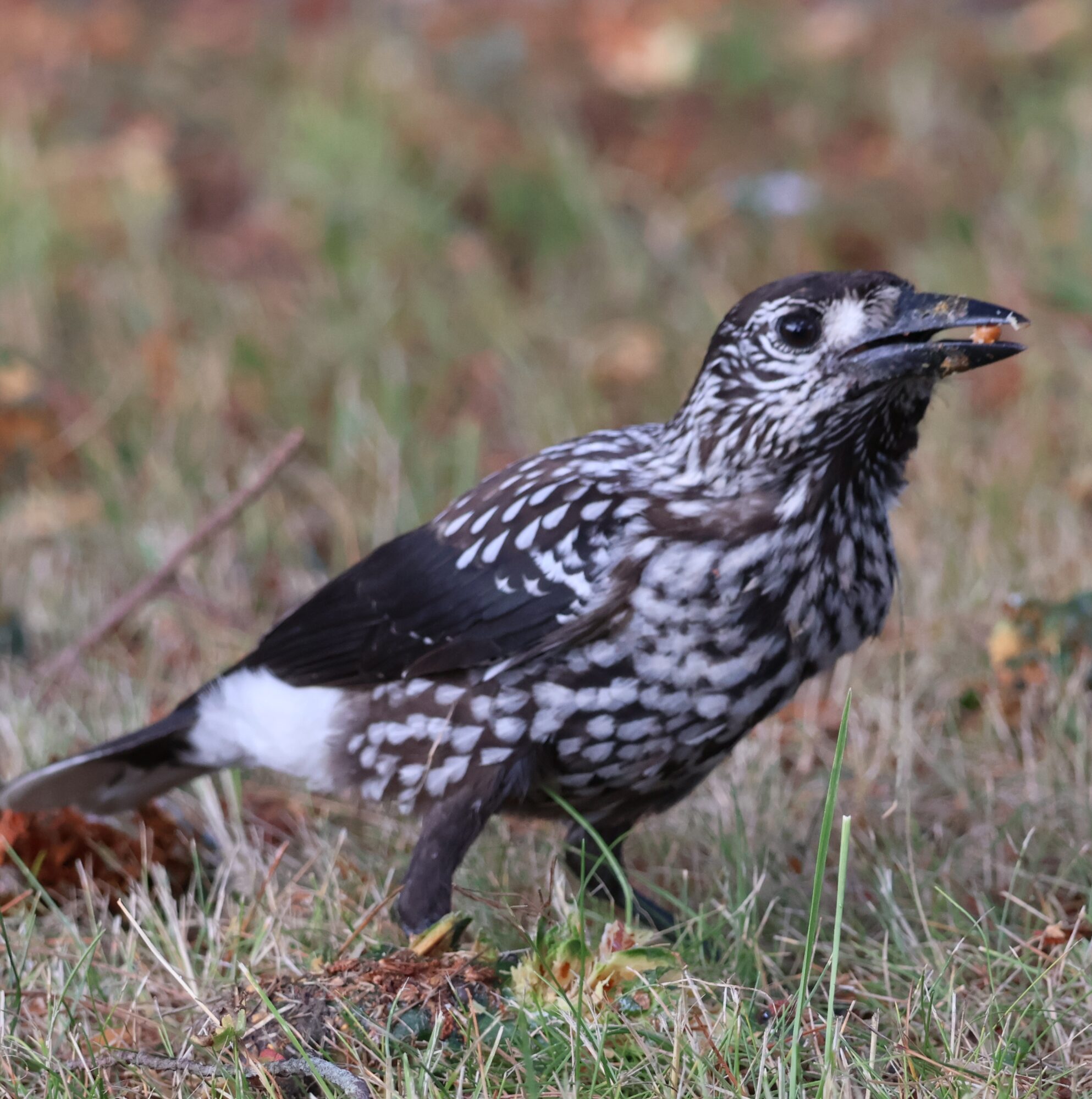 Valokuvaaja: Hanna Rönty