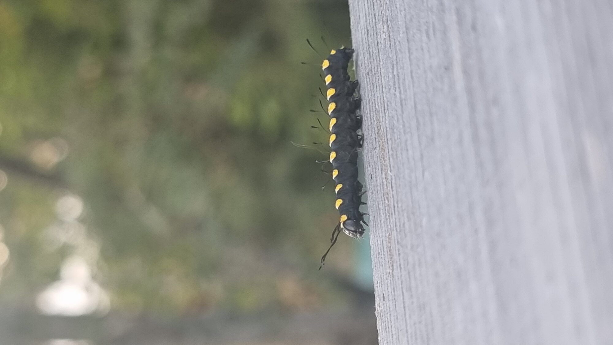 Valokuvaaja: Jani Nyberg