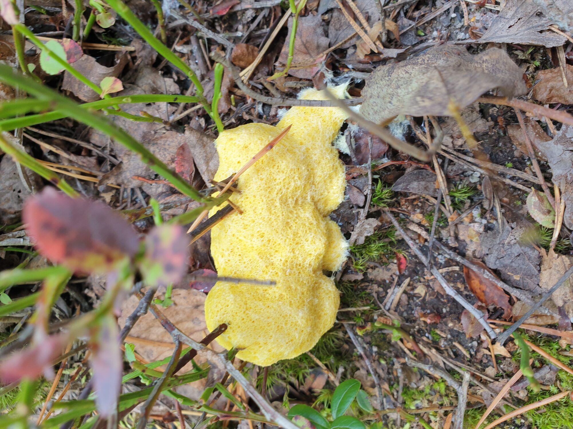 Valokuvaaja: Anu Lapinlampi