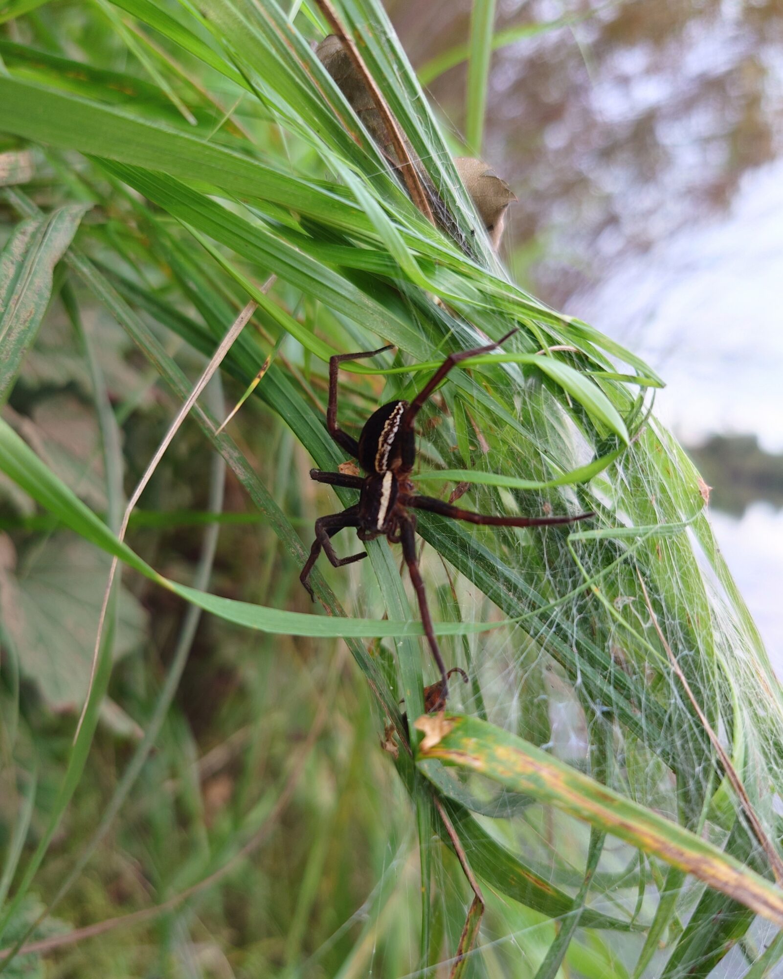 Valokuvaaja: Jouni Roppola.