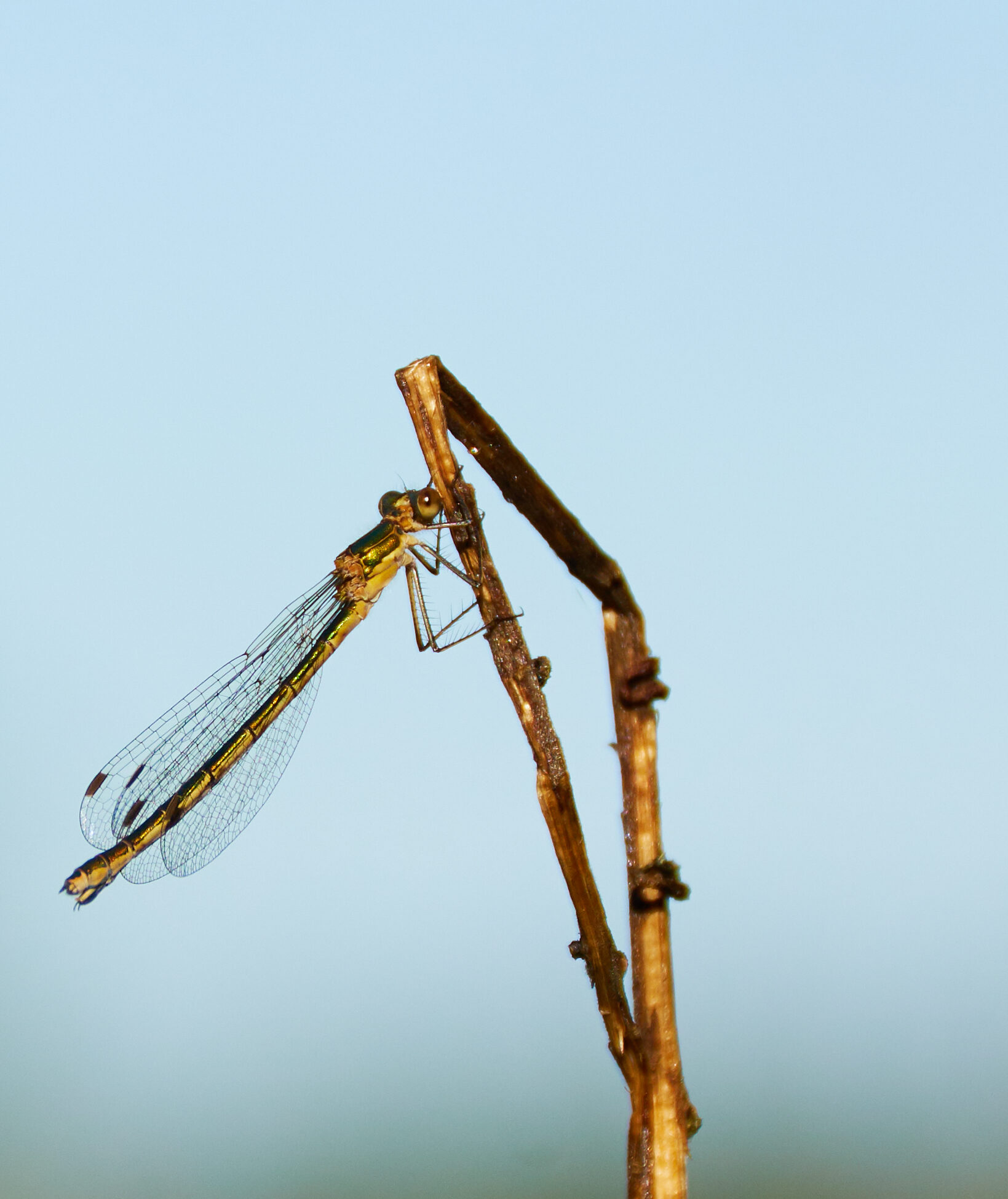 Valokuvaaja: Tarja Kouvo