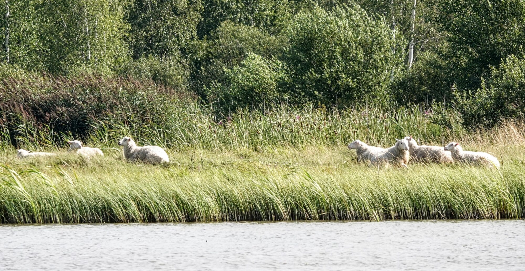 Valokuvaaja: Pekka Heino